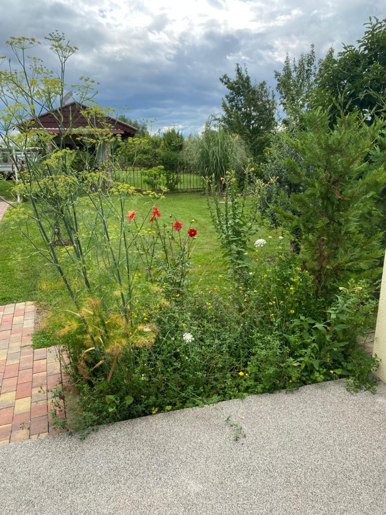 Ferienwohnung An Der Unditz 2 Neuried  Exteriér fotografie